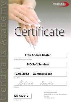 Certificat-Nagelmodellage